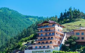 Борник Хил / Bornik Hill